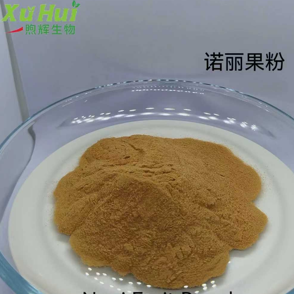 诺丽果酵素粉,Noni Fruit Powder