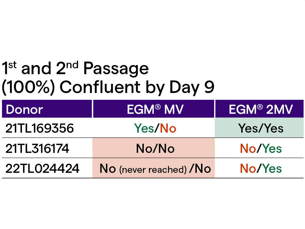 EGM-2-MV 内皮细胞培养基套装（CC-3156 & CC-4147）,EGM-2 MV BulletKit (CC-3156 & CC-4147)