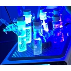 早期研发 药物化学,Drug Discovery Medicinal Chemistry