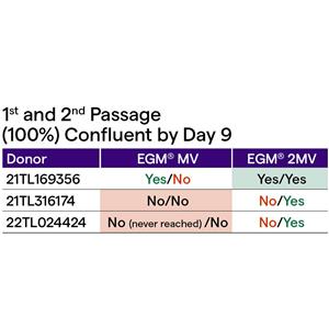 EGM-2-MV 内皮细胞培养基套装（CC-3156 & CC-4147）