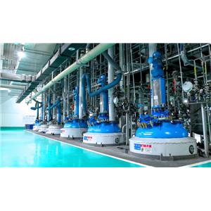 原料yao与中间体工艺开发