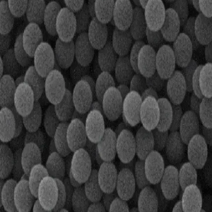 ps微球粉末20nm-200um,PS Microspheres