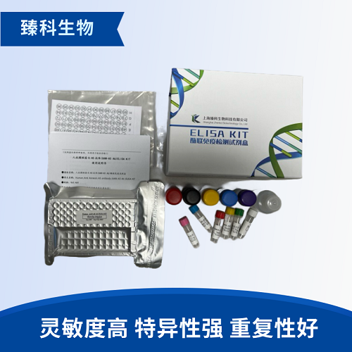 小鼠血管生成素2(ANG-2）elisa检测试剂盒