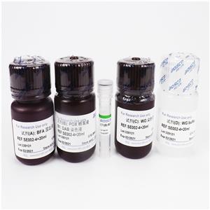 过氧化物酶染色液(联苯胺法)