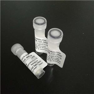 Annexin V-mFluor? Violet 450标记,Annexin V-mFluor? Violet 450 conjugate