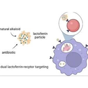 ICG-乳铁蛋白，ICG-LF，ICG-Lactoferrin，吲哚菁绿标记乳铁蛋白