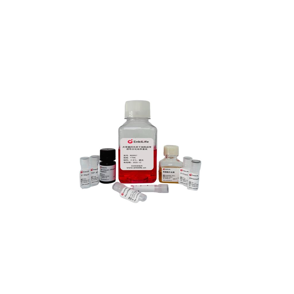 犬骨髓间充质干细胞成骨诱导分化培养试剂盒,Dog BMSCs Osteogenic Differentiation Medium Kit