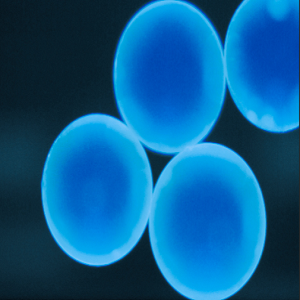 蓝色聚苯乙烯荧光微球20nm-200um,Blue PS Fluorescent Microspheres
