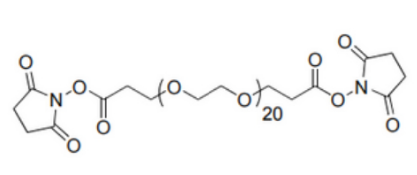 双琥珀酰亚胺酯-二十一聚乙二醇,Bis-PEG21-NHS
