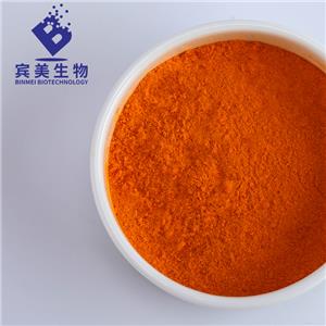 沙棘粉,Sea Buckthorn Extract