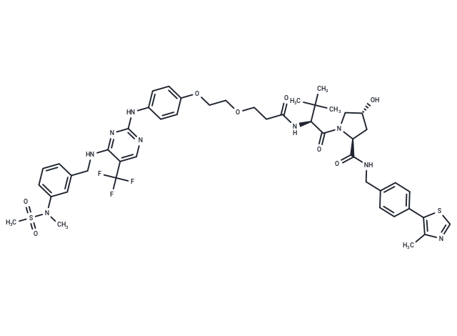 化合物 PROTAC FAK degrader 1,PROTAC FAK degrader 1