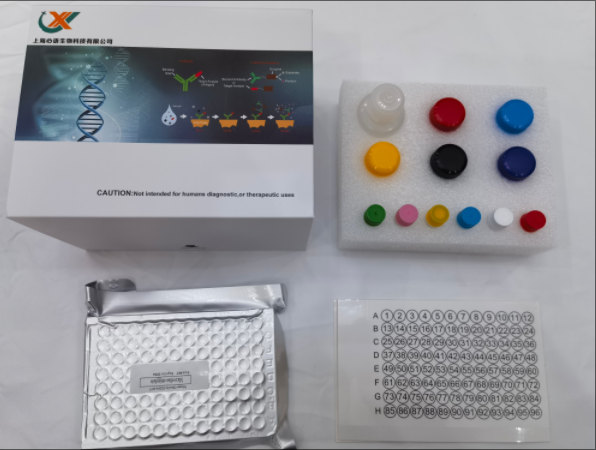 鸡细胞色素P450 2H1（CYP2H1）ELISA试剂盒