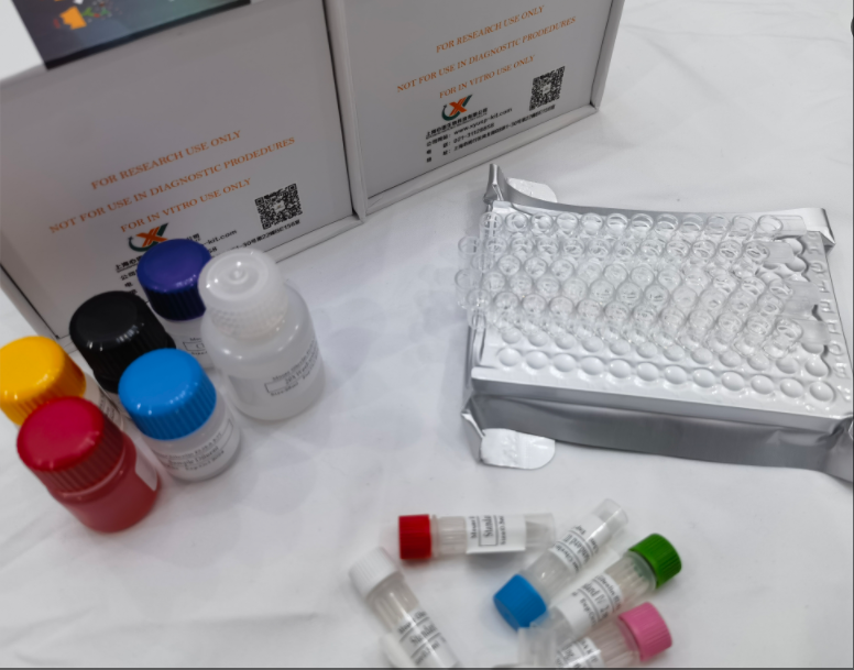 鸡半乳糖凝集素3（Galectin-3）ELISA试剂盒