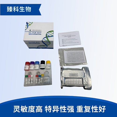 小鼠组织蛋白酶K(Cath-K）elisa检测试剂盒