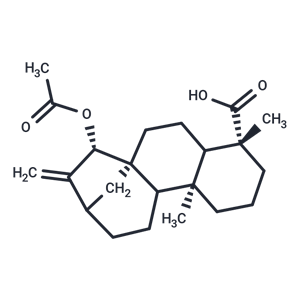 化合物 Xylopic acid|T124446|TargetMol