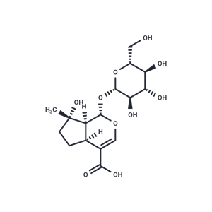 化合物 Mussaenosidic acid|T124154|TargetMol
