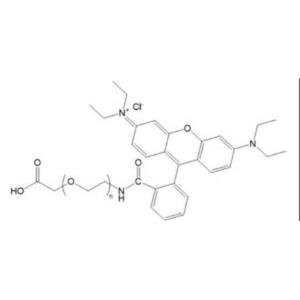 RB-聚乙二醇-牛血清白蛋白,RB-PEG-BSA