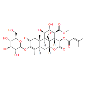 鸦胆子苷B  鸦胆子苷B Bruceoside B 69687-69-0  