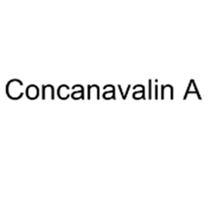 刀豆蛋白,Concanavalin A