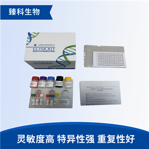 小鼠转化生长因子β(TGF-β）elisa检测试剂盒