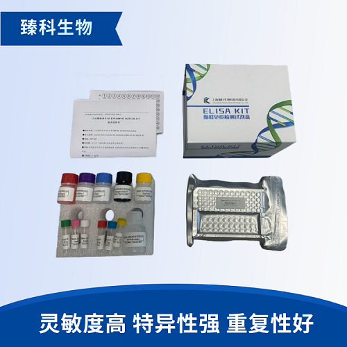 小鼠胰高血糖素样肽(GLP）elisa检测试剂盒