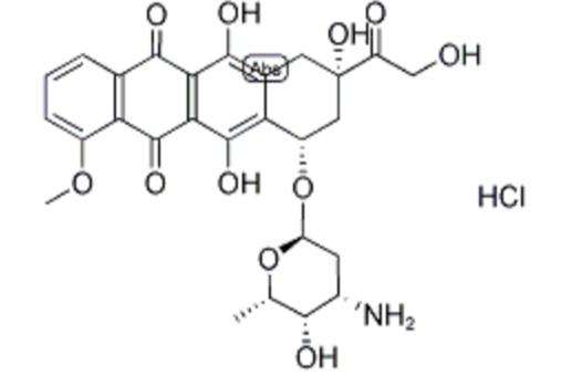 Fitc-胰蛋白酶,FITC-Trypsin