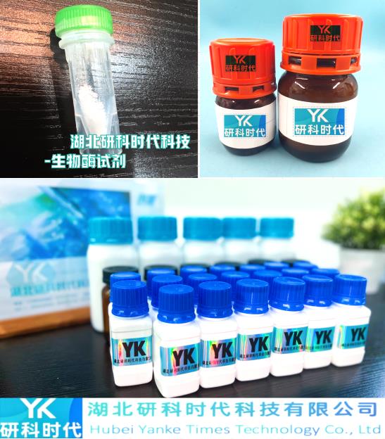 乙酰肉碱转移酶,Acetylcarnitine transferase