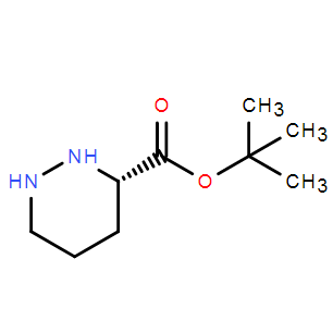 (S)-叔丁基六氢哒嗪-3-羧酸酯,(S)-tert-butyl piperazine-3-carboxylate