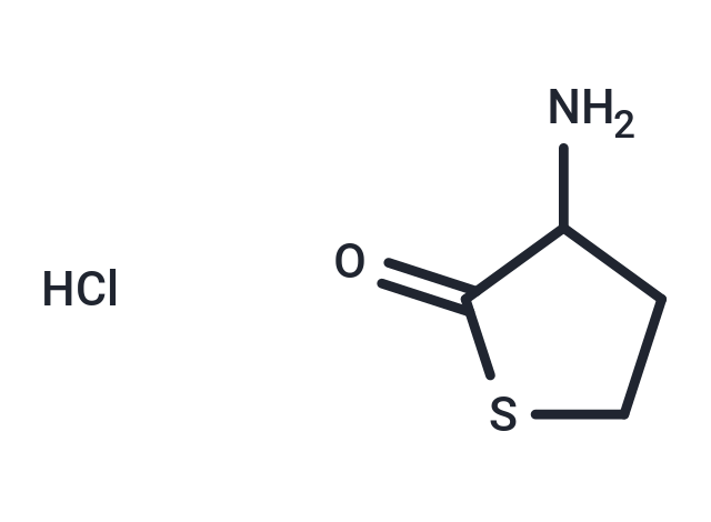 DL-高半胱氨酸硫内酯盐酸盐,DL-Homocysteine thiolactone hydrochloride