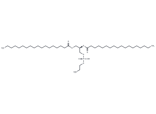 1,2-二硬酯酰-SN-甘油-3-磷酰乙醇胺,1,2-Distearoyl-sn-glycero-3-phosphorylethanolamine