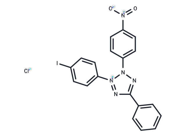 碘硝基氯化四氮唑蓝,INT
