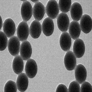 羧基修饰的尼罗蓝ps微球50nm,Carboxyl-modified Nile Blue PS microspheres