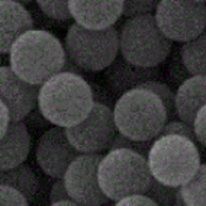 ‌聚苯乙烯磁性微球,PS magnetic microspheres