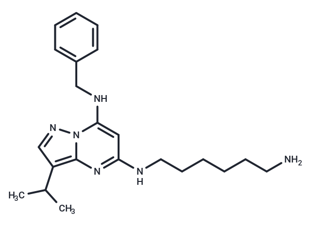 化合物 BS-181,BS-181