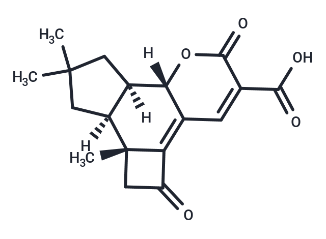 化合物 Lentinellic acid,Lentinellic acid