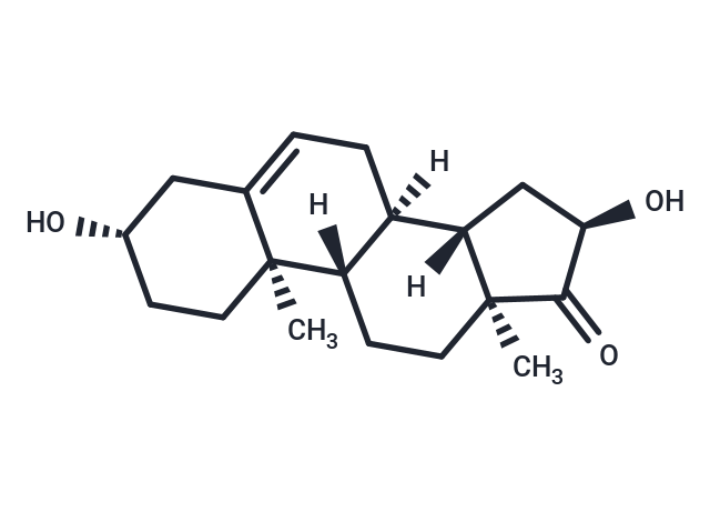16α-羟基脱氢表雄酮,16α-hydroxy Dehydroepiandrosterone