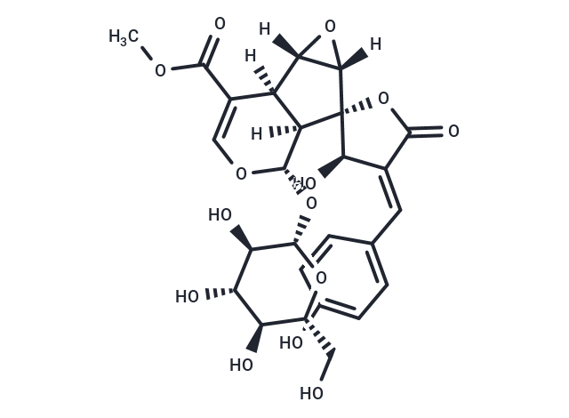 化合物 Citrifolinoside A,Citrifolinoside A
