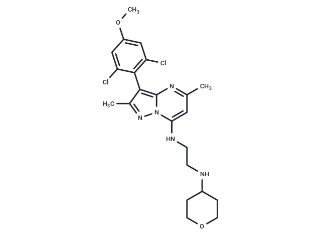 化合物 CP-671906,CP-671906