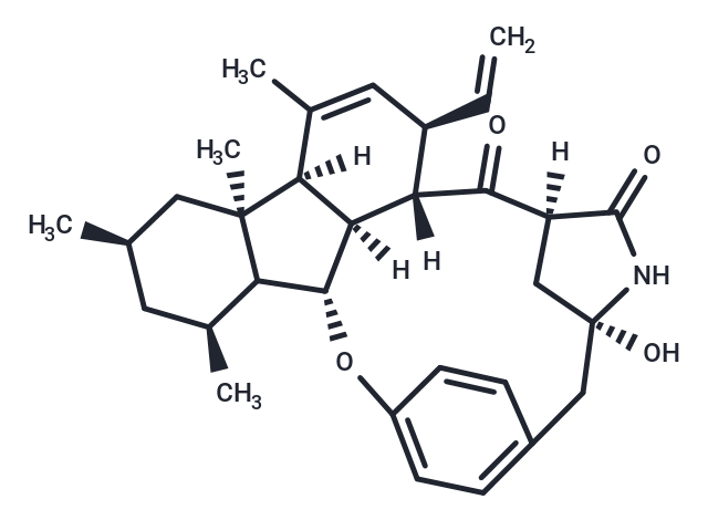 化合物 Pyrrocidine B,Pyrrocidine B