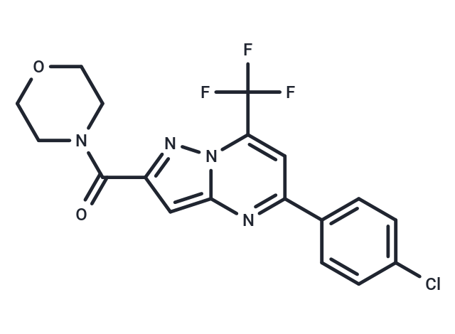 化合物 Acetamide, N-(5-amino-2-(octyloxy)benzyl)-,Acetamide, N-(5-amino-2-(octyloxy)benzyl)-