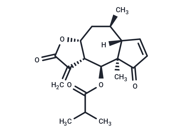 化合物 6-O-Isobutyrylhelenalin,Helenalin isobutyrate,6-O-Isobutyrylhelenalin,Helenalin isobutyrate