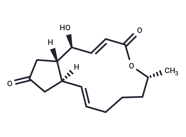 化合物 7-Dehydrobrefeldin A,7-Dehydrobrefeldin A