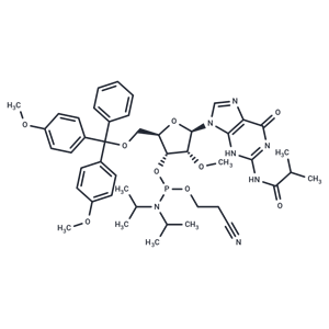2’-OMe-G(ibu) Phosphoramidite,2