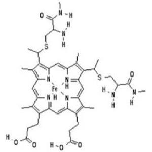 罗丹明标记细胞色素C，RB-Cytochrome C，Rhodamine-labeled Cytochrome C