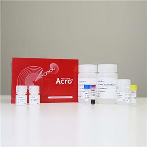 人Nectin-4蛋白, His, Avitag