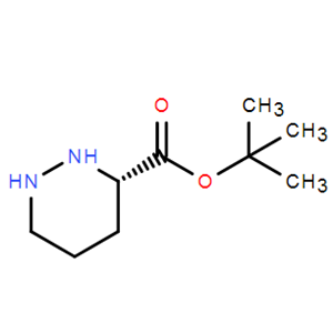 (S)-叔丁基六氢哒嗪-3-羧酸酯,(S)-tert-butyl piperazine-3-carboxylate