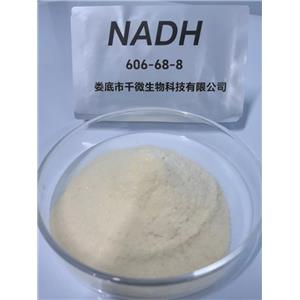 烟酰胺腺嘌呤二核苷酸（还原型）NADH