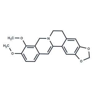 二氢小檗碱|T8189|TargetMol