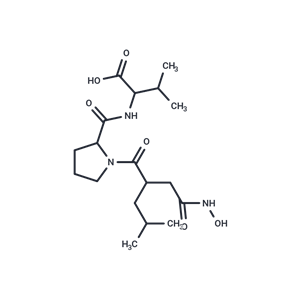 化合物 Propioxatin B|T25994|TargetMol