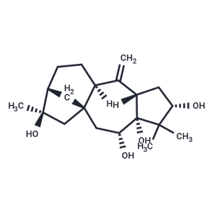 化合物 Grayanotoxin XVIII|T124360|TargetMol